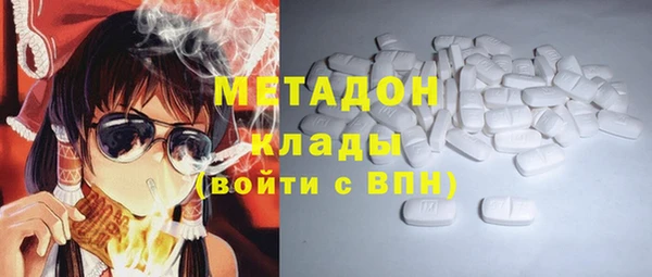 индика Заводоуковск