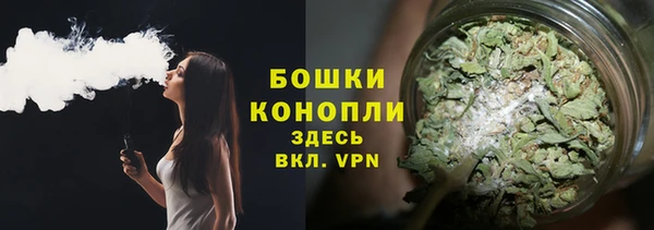 индика Заводоуковск