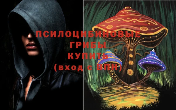 бошки Зеленодольск