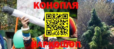 прущая мука Заводоуковск