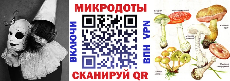 KRAKEN вход  Кыштым  Галлюциногенные грибы мухоморы 