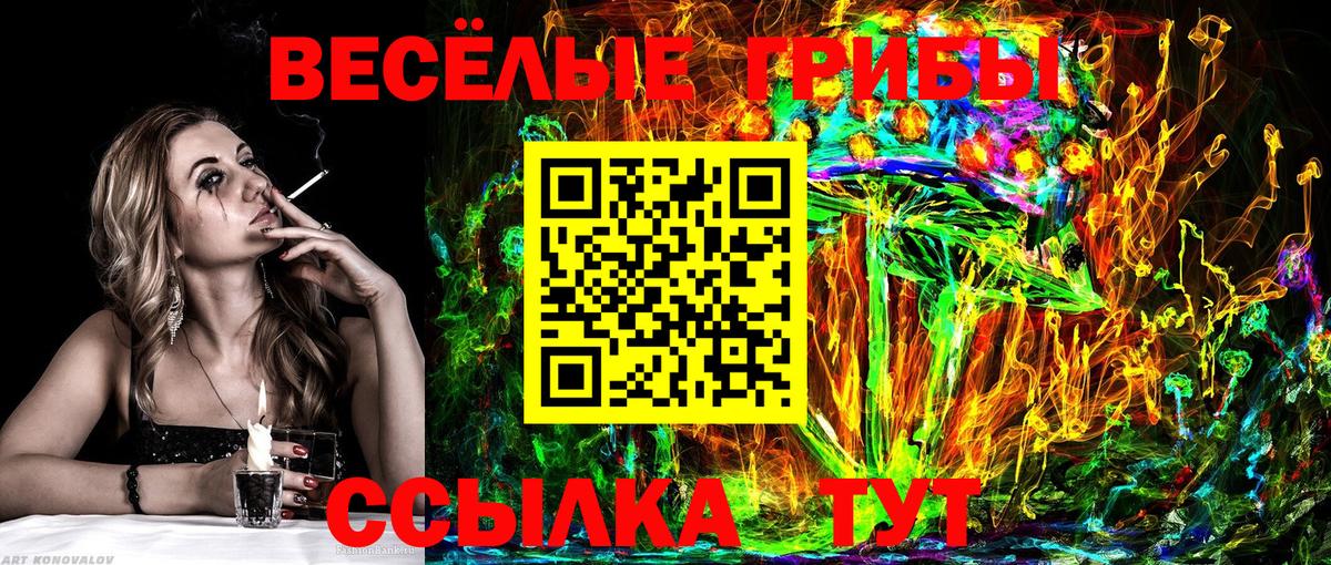 Псилоцибиновые грибы Cubensis  Вход с VPN  Кыштым 