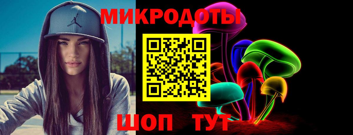 Галлюциногенные грибы Psilocybine cubensis Кыштым