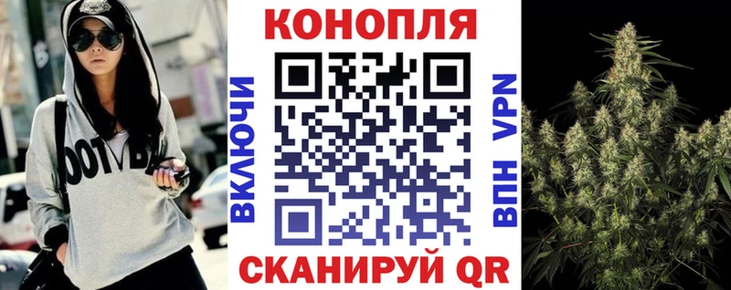 купить наркотики сайты  Кыштым  Бошки Шишки гибрид 